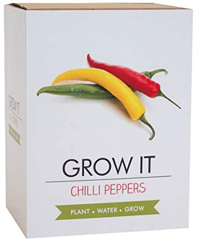 Gift Republic Grow Your Own Chilli Plants Hot Chilli Pepper Seeds Habanero, Jalapeno, Scotch Bonnet Gift Idea Kitchen Garden