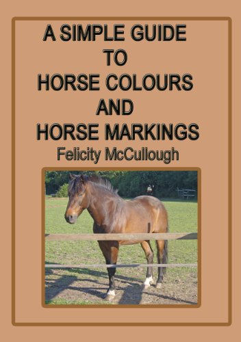 A Simple Guide To Horse Colours And Horse Markings (Horse Knowledge)