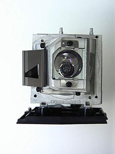 Acer Lampada Originale EC.K1700.001 per Videoproiettore P1203