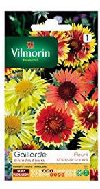 Vilmorin - Sachet graines Gaillarde Grandes fleurs