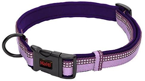 Collare Comfort HALTI - Cinghia regolabile con imbottitura in neoprene e tessuto 3M catarifrangente. Nylon di qualità. Leggero e ideale per cani di taglia media (Taglia M, Viola)