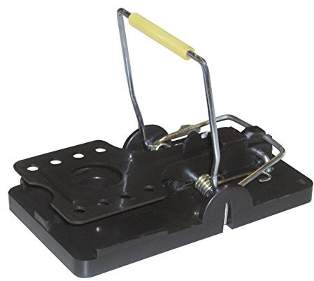 cit Kerbl 299834 Rattenfalle Snapper, einzeln