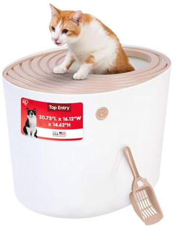 Iris Top Entry Cat Katzentoilette, orange