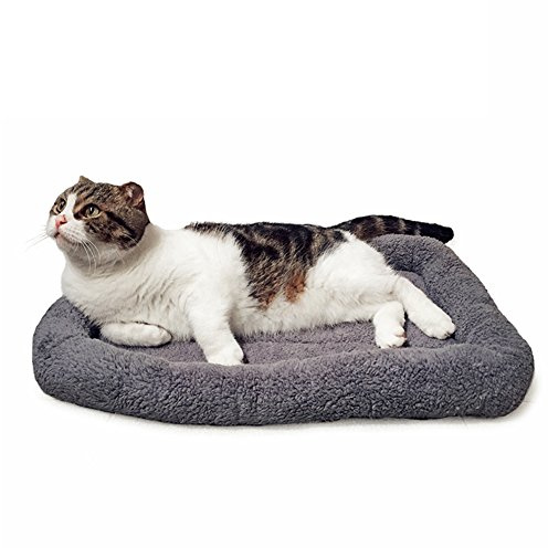 LESYPT Cat Bed 22 x 16 Non-Slip Pet Bed for Curled Sleep, Machine Washable Indoor Cat Mat for Crate Carrier Tree Windowsill, Size M