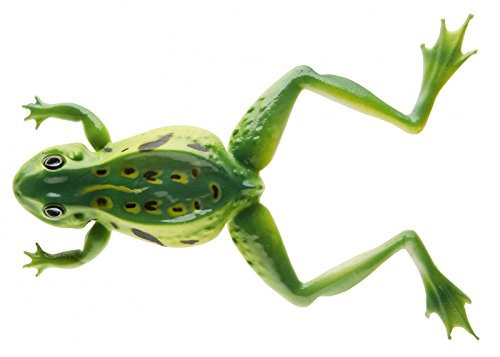 Cormoran - Cormoran 3D Softfrog grün 12cm 16g - 2 Stück
