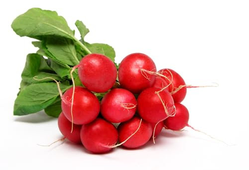Just Seed - Organic Vegetable - Radish Early Scarlet Globe - 400 Seeds