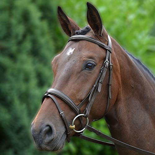 Hy Padded Flash Bridle With Rubber Grip Reins - Brown - 5/8 Full