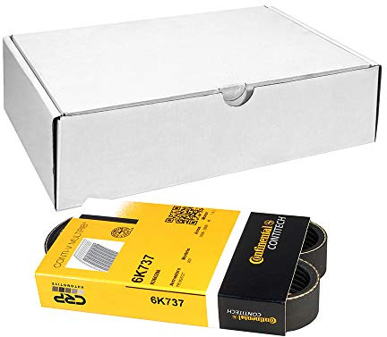 CONTITECH 6PK737 Keilrippenriemen für VW Golf V Schrägheck (1K1)