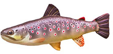 GABY Fish Pillows Dekoratives Kissen in Form eines echten Fisches, Mini Bachforelle