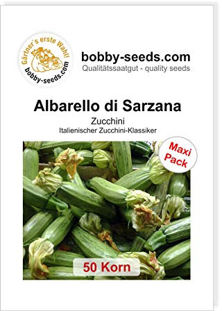 Albarello di Sarzana Zucchinisamen von Bobby-Seeds, 50 Korn