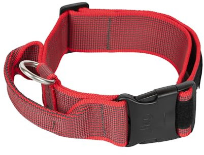 JULIUS-K9, 200HA-K-R-2015 Color & Gray series- K9-Halsband mit Haltegriff, Sicherheitsverschluss und Logo und Sicherheitsverschluss, 50 mm*49-70 cm, verstellbar, rot-grau