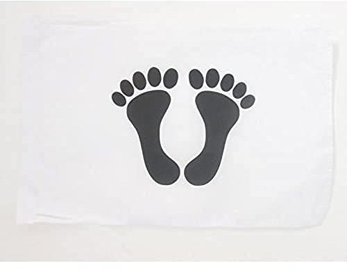 AZ FLAG - Drapeau Pieds-Noirs - 45x30 cm - Pavillon Pied-Noir 100% Polyester Avec Deux Cordelettes - 20g