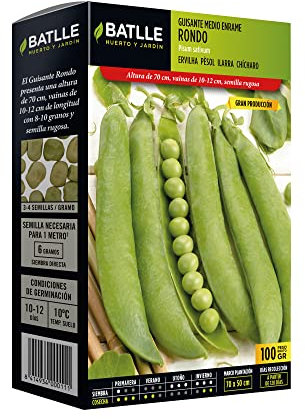 Batlle Graines de légumes – Rankerbse Moyen Rondo (100 g)
