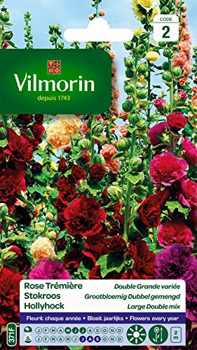 Vilmorin 5751742 Pack de Graines Rose Trémière Double Grande Variée