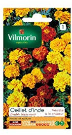 Vilmorin - Sachet graines Oeillet d'inde double nain varié