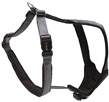 Wolters Cat&Dog Professional Comfort 62452 Geschirr Gr.6 80-95cm x 35mm graphit/schwarz