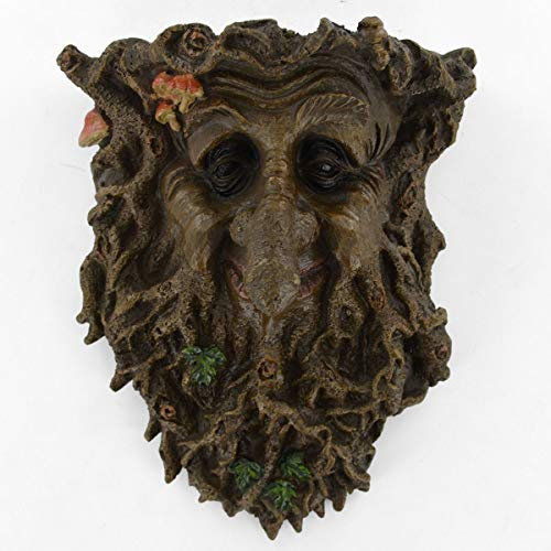 Fiesta Studios Plaque murale décorative de jardin, motif visage Treant/homme feuillu 22 cm.