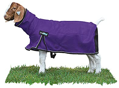 Weaver Leather Livestock ProCool Mesh Goat Blanket with Reflective Piping