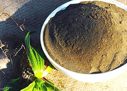 Naturix24 – Spitzwegerich Tee, Spitzwegerichblätter gemahlen – 1 Kg Beutel