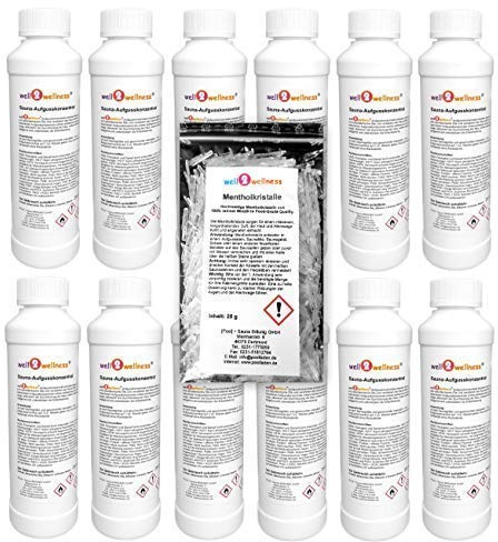 Well2wellness® Infusión para Sauna - Set Concentrado ' Fruta ' + 'Exótico' con 12 X 250ML + 25G Mentol