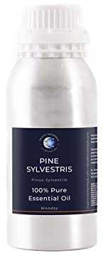 Mystic Moments | Olio essenziale di pino sylvestris 1 kg - olio puro e naturale per diffusori, aromaterapia e massaggio miscele senza OGM vegano