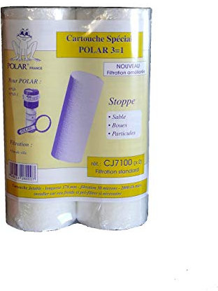 Polar - Cartouche jetable pour filtre Psd1, 50 micron, Pack de 2 - CJ7100X2