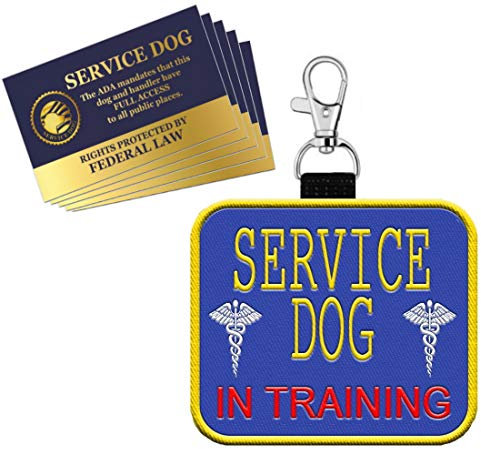 WORKINGSERVICEDOG.COM Service Dog in Training Clip on Identification Hanging Patch Tag - Clips an eine Service Dog Weste, Geschirr, Halsband, Leine oder Tragetasche.