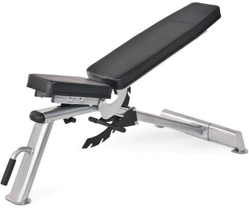 Horizon Fitness Adonis - Banco de Musculación y Pesas - Ajustable - Entrenamiento Inclinado y Declinado - Entrenamiento de Cuerpo Completo - Ejercicios de Gimnasio en casa
