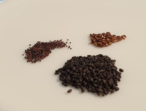 Trio de graines Aromatiques à semer - Le Grenier d'Abondance : Thym Romarin Basilic