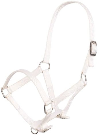 Imperial Riding Fohlenhalfter – 3-Fach verstellbares Nylon-Halfter für Fohlen mit 20 mm Gurtbreite & Nickelbeschlägen, langlebig & sicher, Weiß