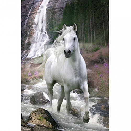 GB eye PH0455 Bob Langrish Waterfall Maxi-Poster 61 x 91,5 cm