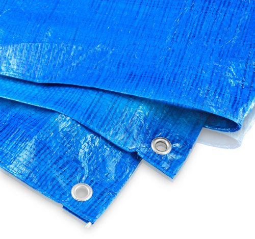 Bâche 6 x 8 m – 60 g Bleu