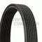 CONTITECH 7DPK1697 Keilrippenriemen Rippenriemen 1697mm 0,342kg