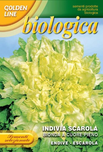 Franchi Seeds of Italy Organic Range Endive Escarole Bionda Cuore Pieno Seeds