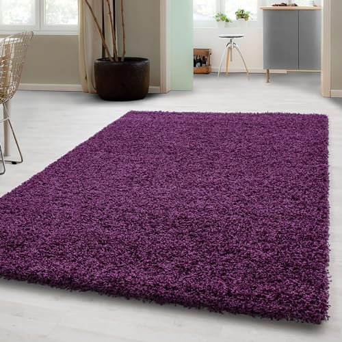 Carpetsale24 Shaggy Hochflor Teppich Wohnzimmer 120 x 170 cm Violett-1 - Moderner, Flauschiger Langflor Teppich – Weicher Carpet für Schlafzimmer, Esszimmer & als stilvoller Küchenteppich