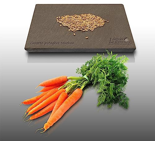 500 graines à semer - Le Grenier d'Abondance - CAROTTE Potagère Touchon - Daucus Carota