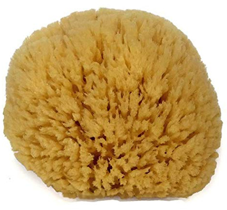 Natural Sea Sponge 6-7 by Spa Destinations Creating The at-Home Spa Experience