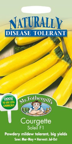 Mr Fothergill's 20786 Vegetable Seeds, COURGETTE Soleil F1, Yellow