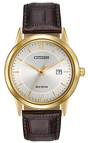 Citizen Men's Eco-Drive Classic Watch in Gold-Tone Stainless Steel with Brown Leather Strap, Champagne Dial (Model: AW1232-04A)