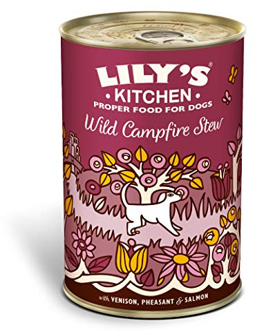 Lily's Kitchen Adult Wild Campfire Stew Wet Dog Food (6 x 400g)