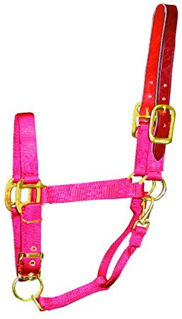 Hamilton 1-Inch Nylon Adjustable Horse Halter with Leather Head Poll and Throat Snap, Average, Red