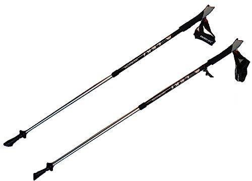 LEKI Nordic Walking Instructor Trekking Pole