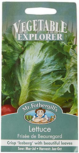 Mr Fothergill's 22155 Vegetable Seeds, Lettuce Frisee de Beauregard