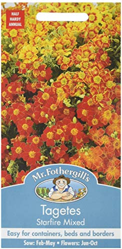 Mr Fothergill's 11580 Flower Seeds, TAGETES Starfire Mixed
