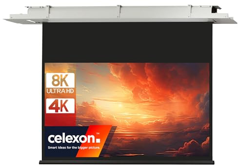 Celexon Deckeneinbau Leinwand Motor Expert 300 x 169 cm