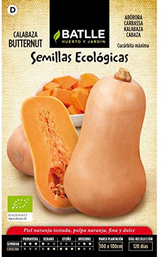 Graines Bio de Batlle - Potiron Anquito Butternut (4g), Orange