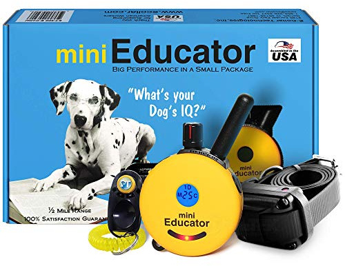 Educator ET-300 Mini E Collar for Dog Training with Remote - 1/2 Mile Range, Waterproof, 100 Blunt Stimulation Levels, Tone or Vibration Mode, Night Light Tracking for Small, Medium & Large Dogs
