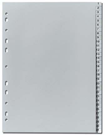 herlitz Register A4 1-31, Grau, 23 x 29,7 cm, Kunststoff, Eurolochung