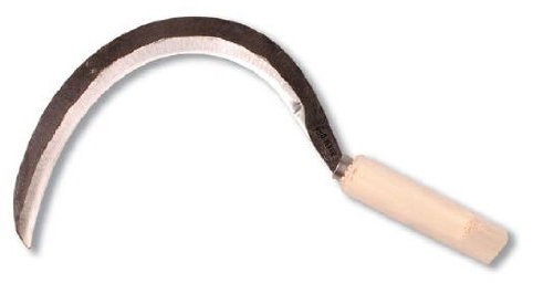 Hoz de filo mlo. gallega (nº0)