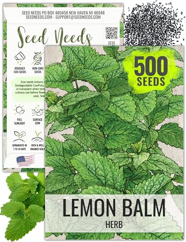 Seed Needs Lemon Balm Seeds for Planting - Non-GMO, Heirloom & Untreated Perennial Medicinal Herb - Plant Indoors/Outdoors Used for Making Calming Tea (1 Pack)